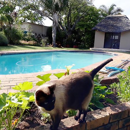 Bed and Breakfast Field's Rest Port Elizabeth Exterior foto